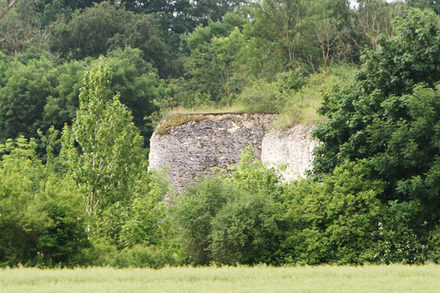 Fernaufnahme des Steinbruchs Salder bei Salzgitter-Salder (kreisfreie Stadt Salzgitter) vom 21. Juni 2021. Die International Union of Geological Sciences hat den Steinbruch zum „Global Stratotype Section and Point (GSSP)“ erklärt, einem weltweiten geologischen Referenzpunkt.