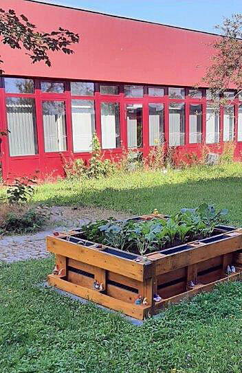 Das Beet wurde über den Sommer schon einmal vom Bibliotheksteam bepflanzt. Künftig soll das ein Hochbeet-Paten-Team machen.