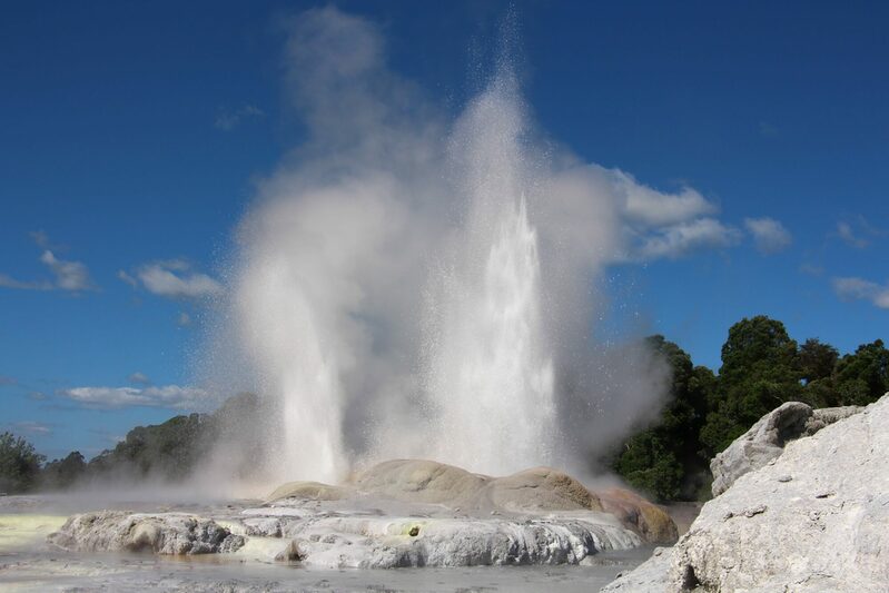 Geysir auf der Nordinsel Neuseelands